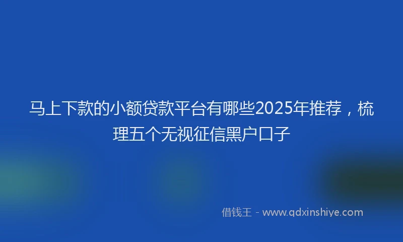 马上下款的小额贷款平台有哪些2025年推荐，梳理五个无视征信黑户口子