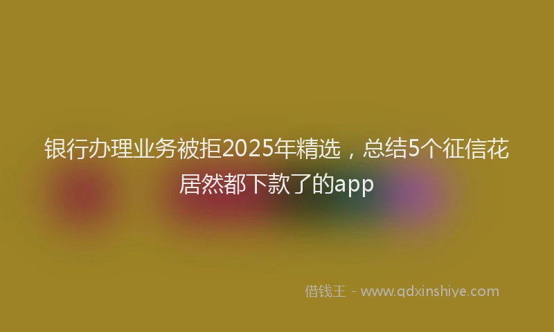 银行办理业务被拒2025年精选，总结5个征信花居然都下款了的app