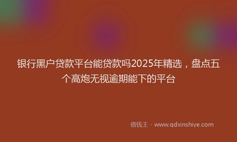 银行黑户贷款平台能贷款吗2025年精选，盘点五个高炮无视逾期能下的平台