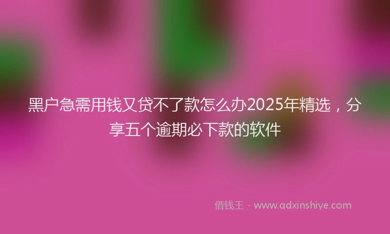 黑户急需用钱又贷不了款怎么办2025年精选，分享五个逾期必下款的软件