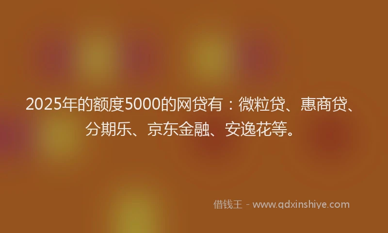 2025年的额度5000的网贷有：微粒贷、惠商贷、分期乐、京东金融、安逸花等。