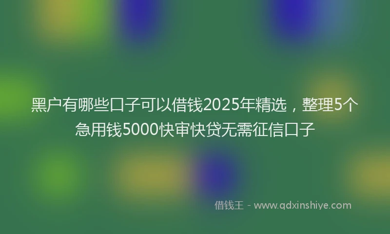 黑户有哪些口子可以借钱2025年精选，整理5个急用钱5000快审快贷无需征信口子