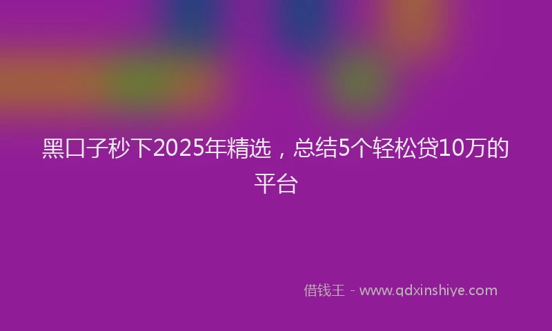 黑口子秒下2025年精选，总结5个轻松贷10万的平台