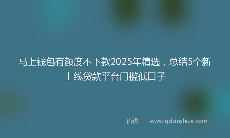 马上钱包有额度不下款2025年精选，总结5个新上线贷款平台门槛低口子