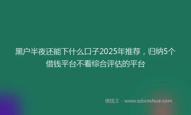 黑户半夜还能下什么口子2025年推荐，归纳5个借钱平台不看综合评估的平台