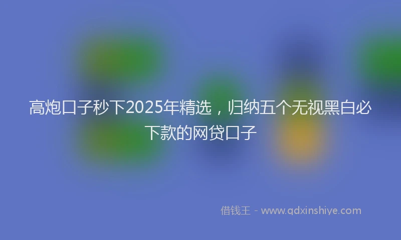 高炮口子秒下2025年精选，归纳五个无视黑白必下款的网贷口子