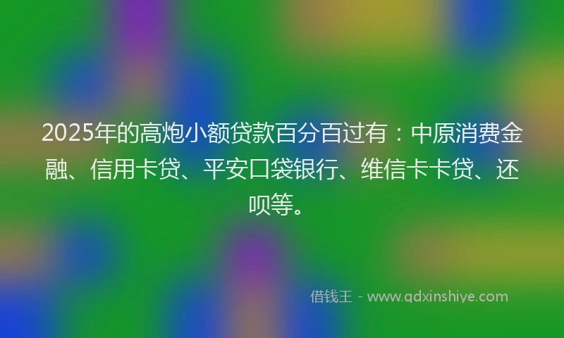 2025年的高炮小额贷款百分百过有：中原消费金融、信用卡贷、平安口袋银行、维信卡卡贷、还呗等。
