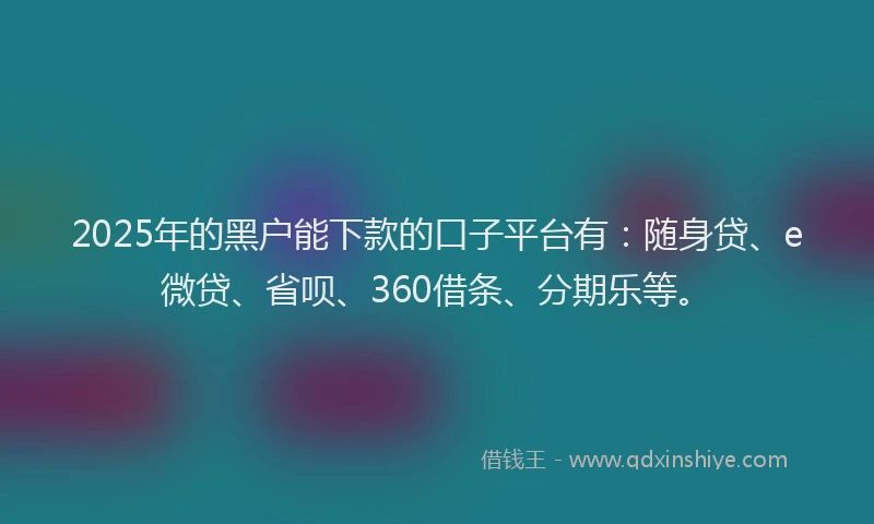 2025年的黑户能下款的口子平台有：随身贷、e微贷、省呗、360借条、分期乐等。