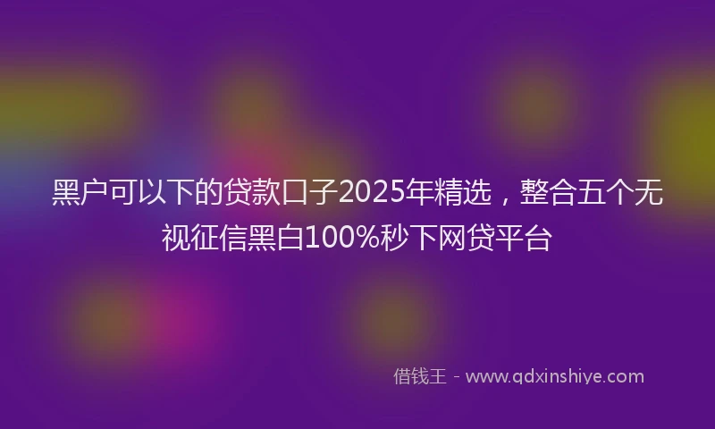 黑户可以下的贷款口子2025年精选，整合五个无视征信黑白100%秒下网贷平台