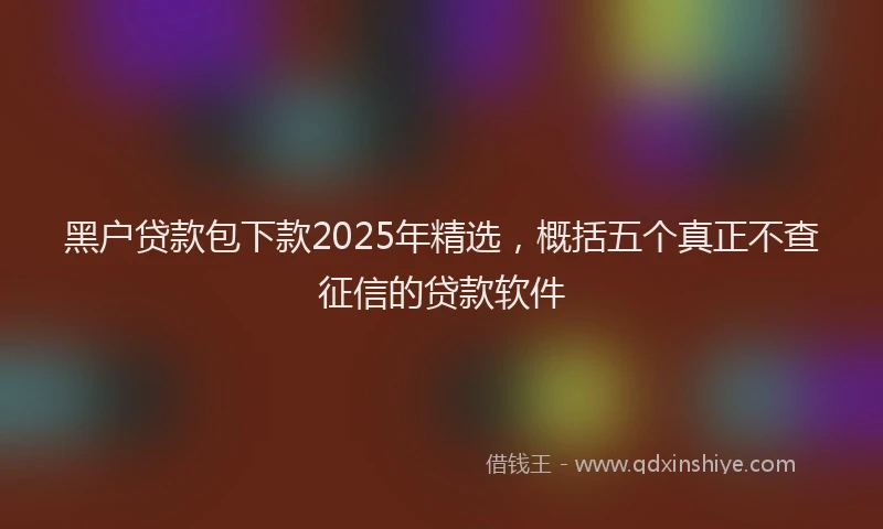 黑户贷款包下款2025年精选，概括五个真正不查征信的贷款软件