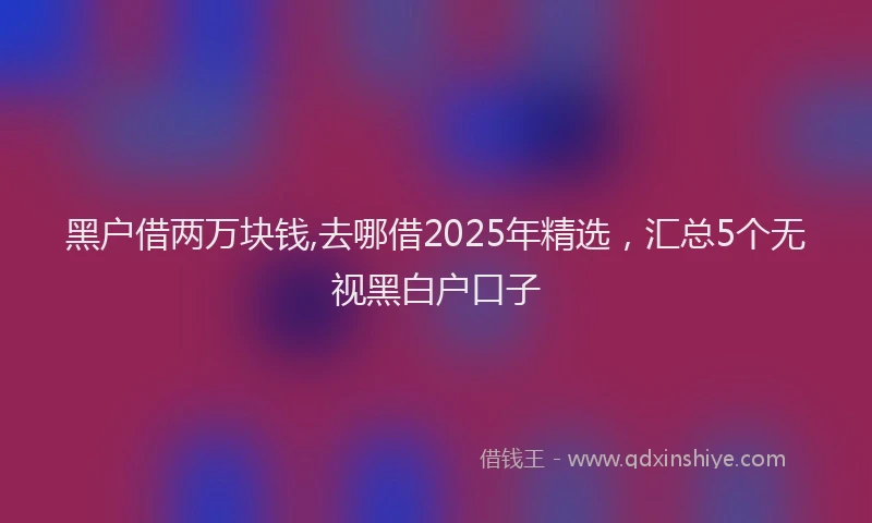 黑户借两万块钱,去哪借2025年精选，汇总5个无视黑白户口子