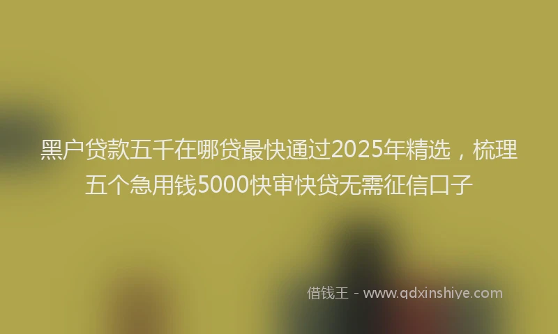 黑户贷款五千在哪贷最快通过2025年精选，梳理五个急用钱5000快审快贷无需征信口子