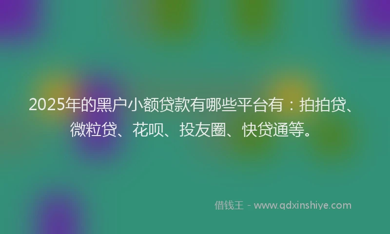 2025年的黑户小额贷款有哪些平台有：拍拍贷、微粒贷、花呗、投友圈、快贷通等。