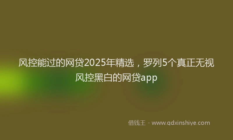 风控能过的网贷2025年精选，罗列5个真正无视风控黑白的网贷app