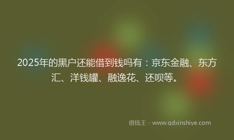 2025年的黑户还能借到钱吗有：京东金融、东方汇、洋钱罐、融逸花、还呗等。