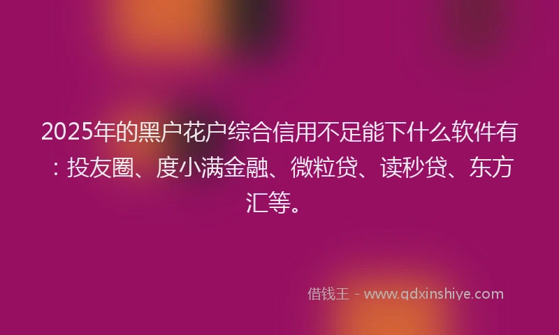 2025年的黑户花户综合信用不足能下什么软件有：投友圈、度小满金融、微粒贷、读秒贷、东方汇等。