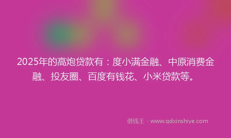 2025年的高炮贷款有：度小满金融、中原消费金融、投友圈、百度有钱花、小米贷款等。