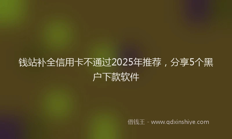钱站补全信用卡不通过2025年推荐，分享5个黑户下款软件