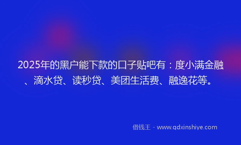 2025年的黑户能下款的口子贴吧有：度小满金融、滴水贷、读秒贷、美团生活费、融逸花等。