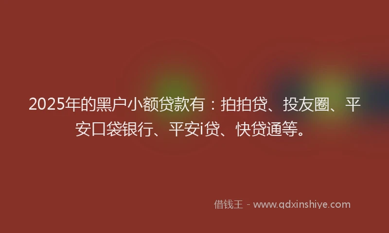 2025年的黑户小额贷款有：拍拍贷、投友圈、平安口袋银行、平安i贷、快贷通等。