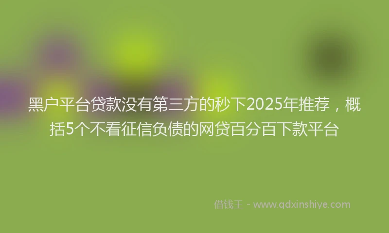 黑户平台贷款没有第三方的秒下2025年推荐，概括5个不看征信负债的网贷百分百下款平台
