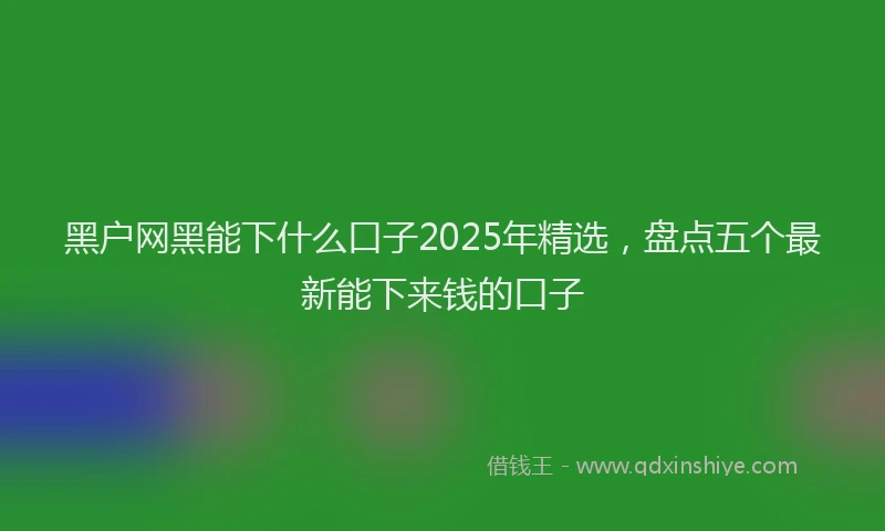 黑户网黑能下什么口子2025年精选，盘点五个最新能下来钱的口子