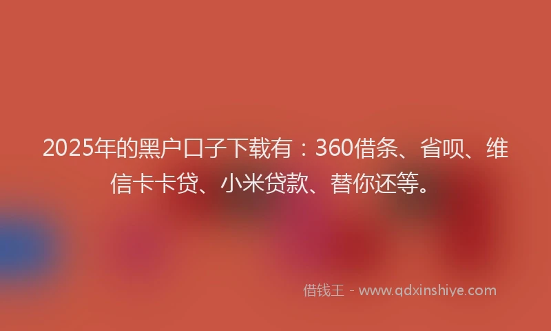 2025年的黑户口子下载有：360借条、省呗、维信卡卡贷、小米贷款、替你还等。