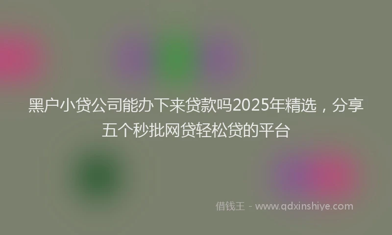 黑户小贷公司能办下来贷款吗2025年精选，分享五个秒批网贷轻松贷的平台