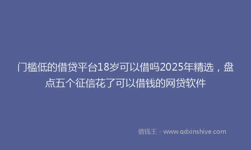 门槛低的借贷平台18岁可以借吗2025年精选，盘点五个征信花了可以借钱的网贷软件
