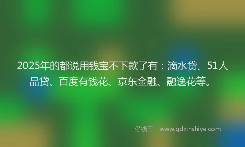 2025年的都说用钱宝不下款了有：滴水贷、51人品贷、百度有钱花、京东金融、融逸花等。
