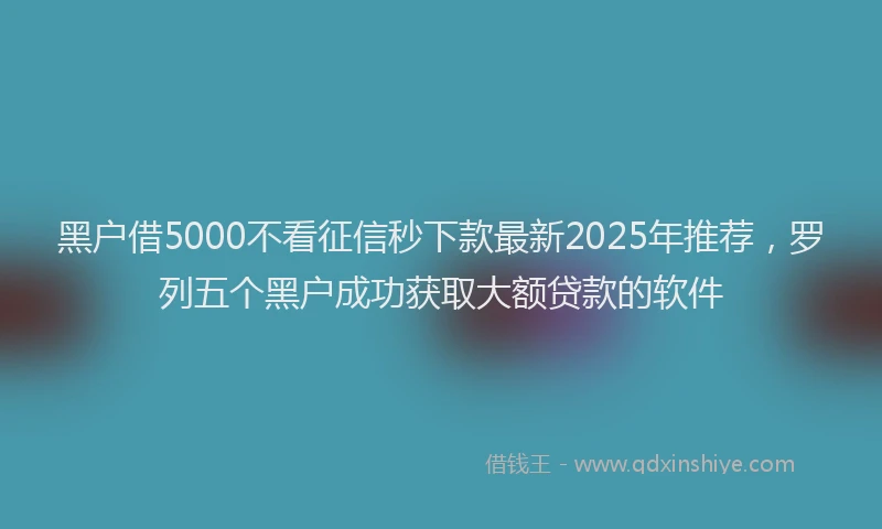 黑户借5000不看征信秒下款最新2025年推荐，罗列五个黑户成功获取大额贷款的软件
