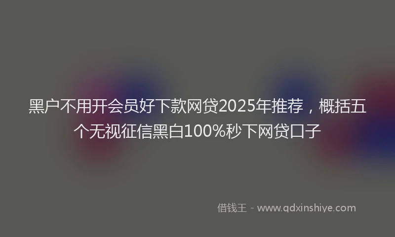 黑户不用开会员好下款网贷2025年推荐，概括五个无视征信黑白100%秒下网贷口子