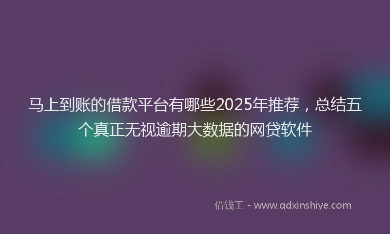 马上到账的借款平台有哪些2025年推荐，总结五个真正无视逾期大数据的网贷软件