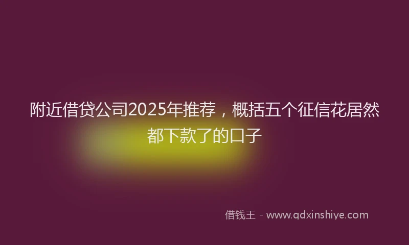 附近借贷公司2025年推荐，概括五个征信花居然都下款了的口子