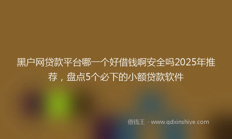黑户网贷款平台哪一个好借钱啊安全吗2025年推荐，盘点5个必下的小额贷款软件