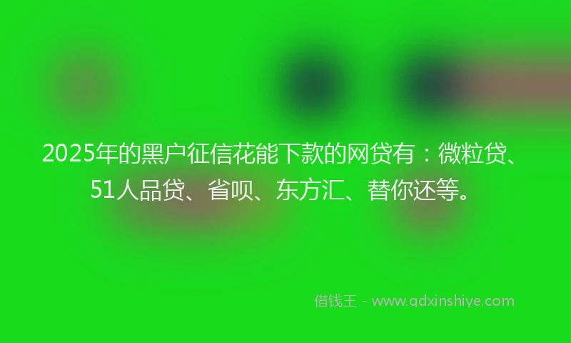 2025年的黑户征信花能下款的网贷有：微粒贷、51人品贷、省呗、东方汇、替你还等。