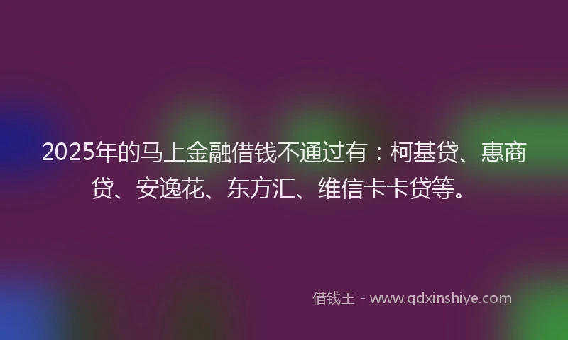 2025年的马上金融借钱不通过有：柯基贷、惠商贷、安逸花、东方汇、维信卡卡贷等。
