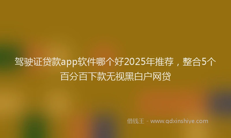 驾驶证贷款app软件哪个好2025年推荐，整合5个百分百下款无视黑白户网贷