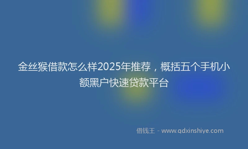 金丝猴借款怎么样2025年推荐，概括五个手机小额黑户快速贷款平台