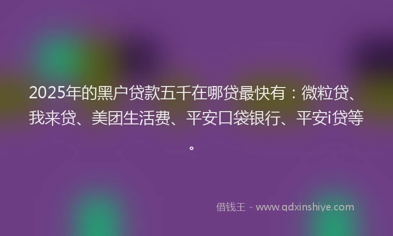 2025年的黑户贷款五千在哪贷最快有：微粒贷、我来贷、美团生活费、平安口袋银行、平安i贷等。
