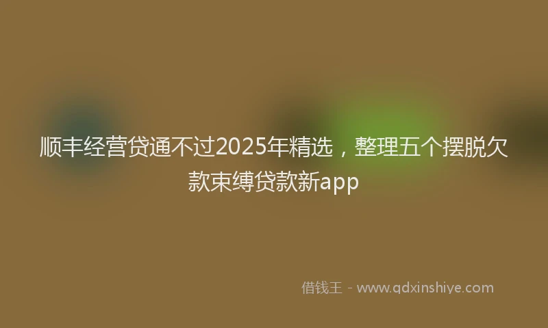 顺丰经营贷通不过2025年精选，整理五个摆脱欠款束缚贷款新app