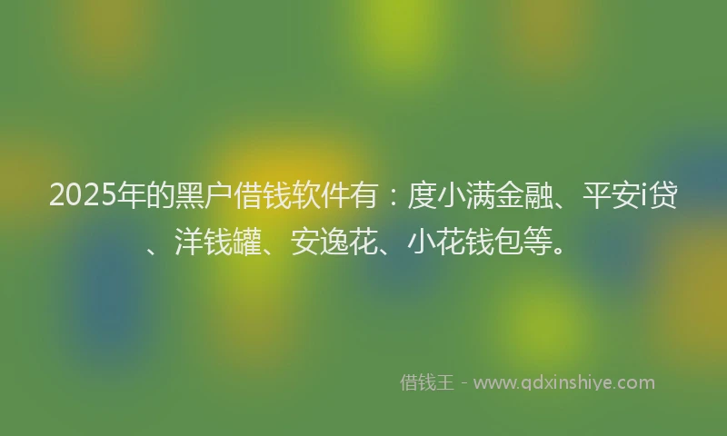 2025年的黑户借钱软件有：度小满金融、平安i贷、洋钱罐、安逸花、小花钱包等。