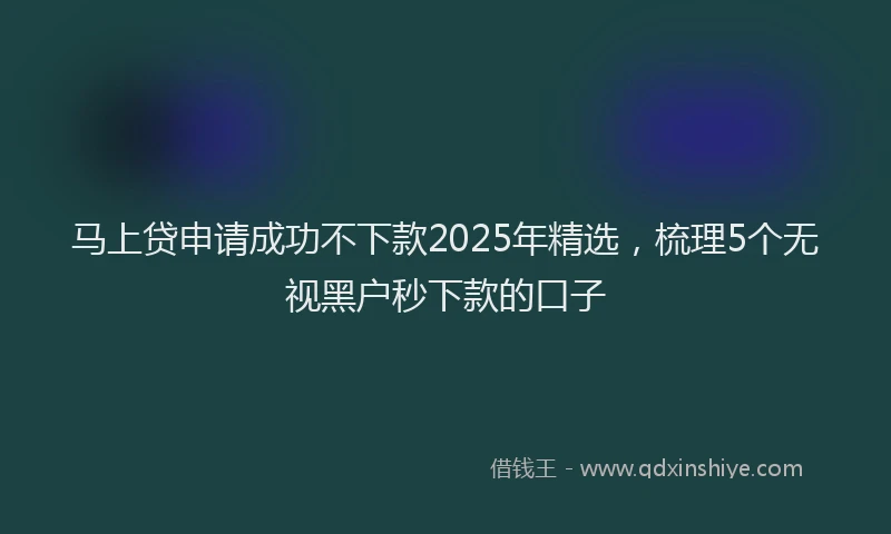 马上贷申请成功不下款2025年精选，梳理5个无视黑户秒下款的口子