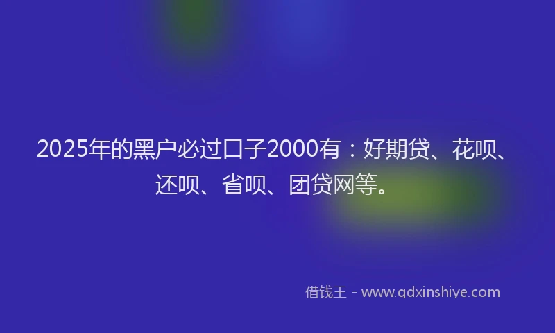 2025年的黑户必过口子2000有：好期贷、花呗、还呗、省呗、团贷网等。