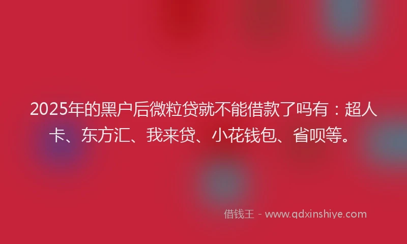 2025年的黑户后微粒贷就不能借款了吗有：超人卡、东方汇、我来贷、小花钱包、省呗等。