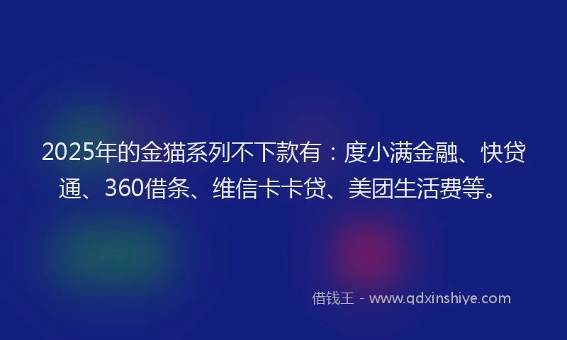 2025年的金猫系列不下款有：度小满金融、快贷通、360借条、维信卡卡贷、美团生活费等。
