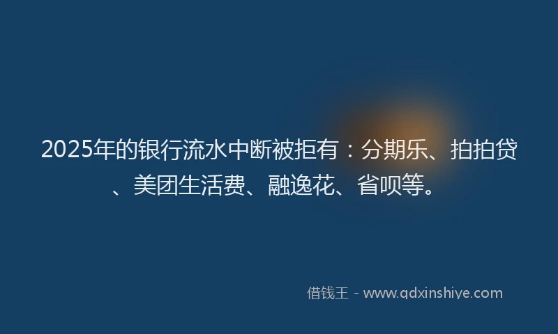 2025年的银行流水中断被拒有：分期乐、拍拍贷、美团生活费、融逸花、省呗等。