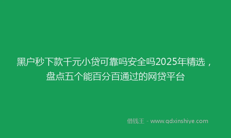 黑户秒下款千元小贷可靠吗安全吗2025年精选，盘点五个能百分百通过的网贷平台