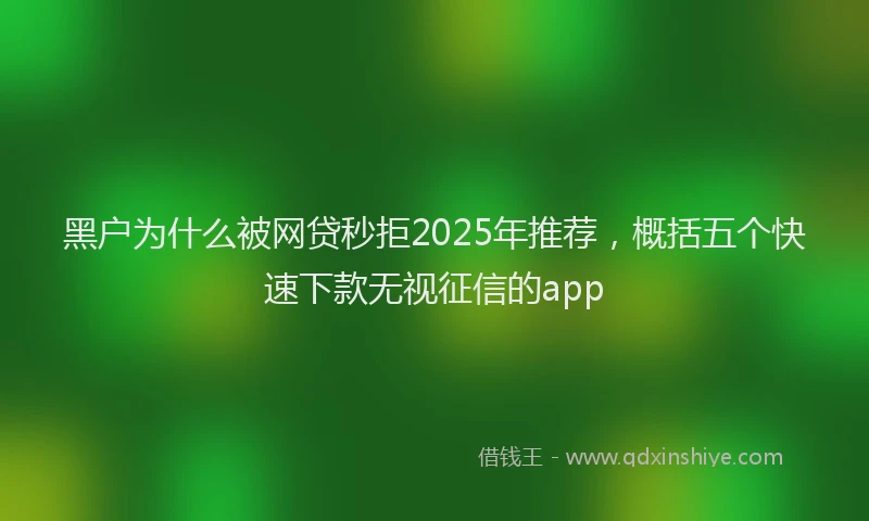 黑户为什么被网贷秒拒2025年推荐，概括五个快速下款无视征信的app
