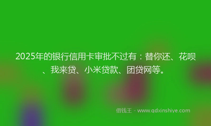 2025年的银行信用卡审批不过有：替你还、花呗、我来贷、小米贷款、团贷网等。